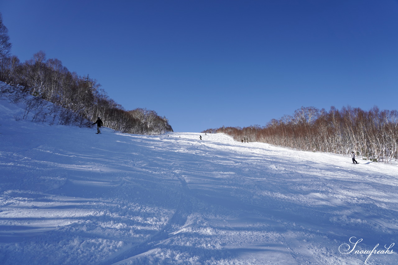 札幌国際スキー場 これぞ北海道。粉雪が降り積もったゲレンデはコンディション良好！そして、早くも全コース滑走可能です(*^^)v